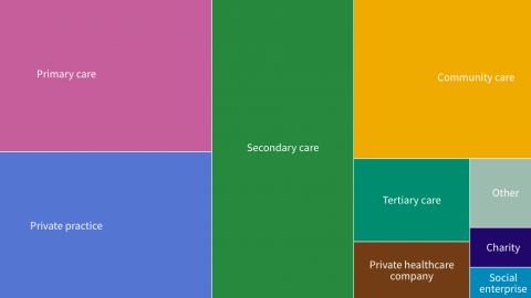 Visualisation of physiotherapy settings that are delivering services remotely