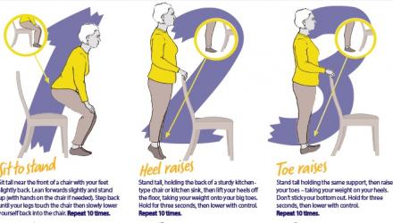 An image showing some of the 6 Easy Exercises for older people - Stay Active @ Home series