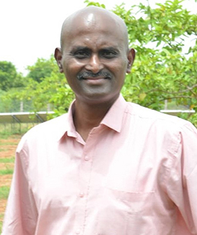 Srikesavan Sabapathy, professional committee member