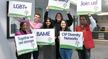 Diversity Networks come together