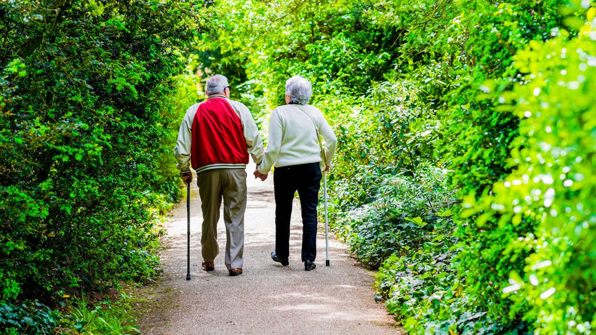 Falls prevention elderly couple walking Elderly couple out walking with walking sticks