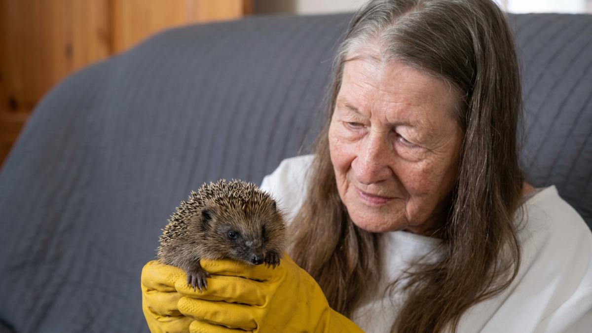 Tish and hedgehog
