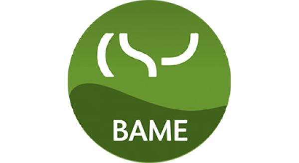 BAME Network logo