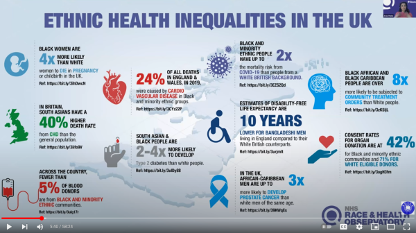 Screenshot from the Ethnic Health Inequalities in Older Adults webinar