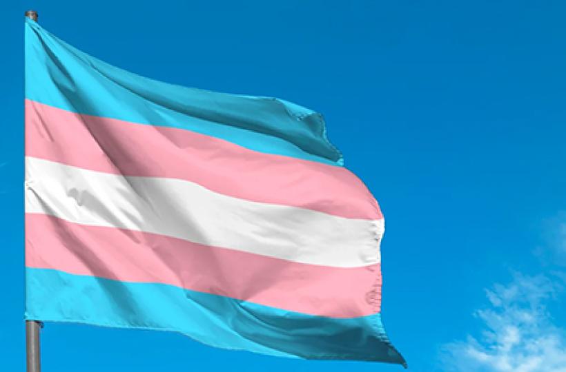 Transphobia position statement
