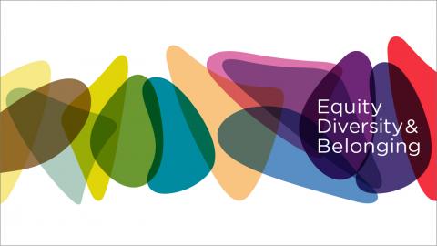 Equity, diversity and belonging strategy