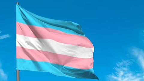 Transphobia position statement