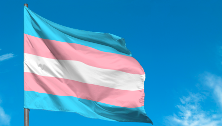 Trans flag waving in the wind - demonstrating solidarity