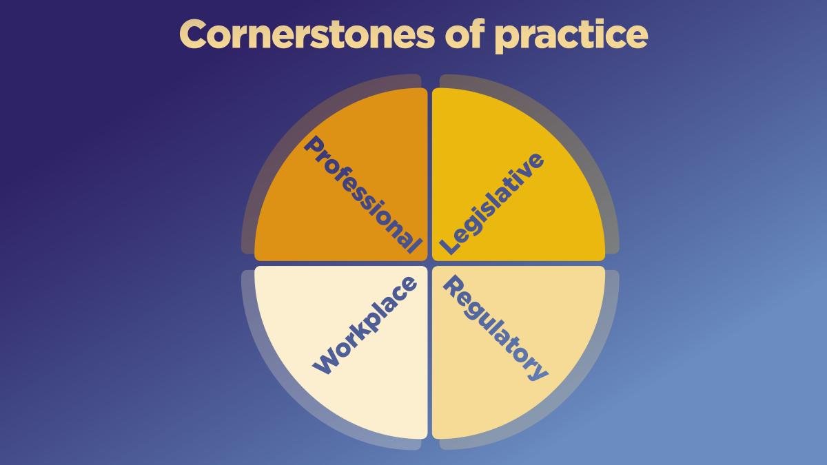 The four cornerstones of physiotherapy practice are: legislative, regulatory, professional and workplace